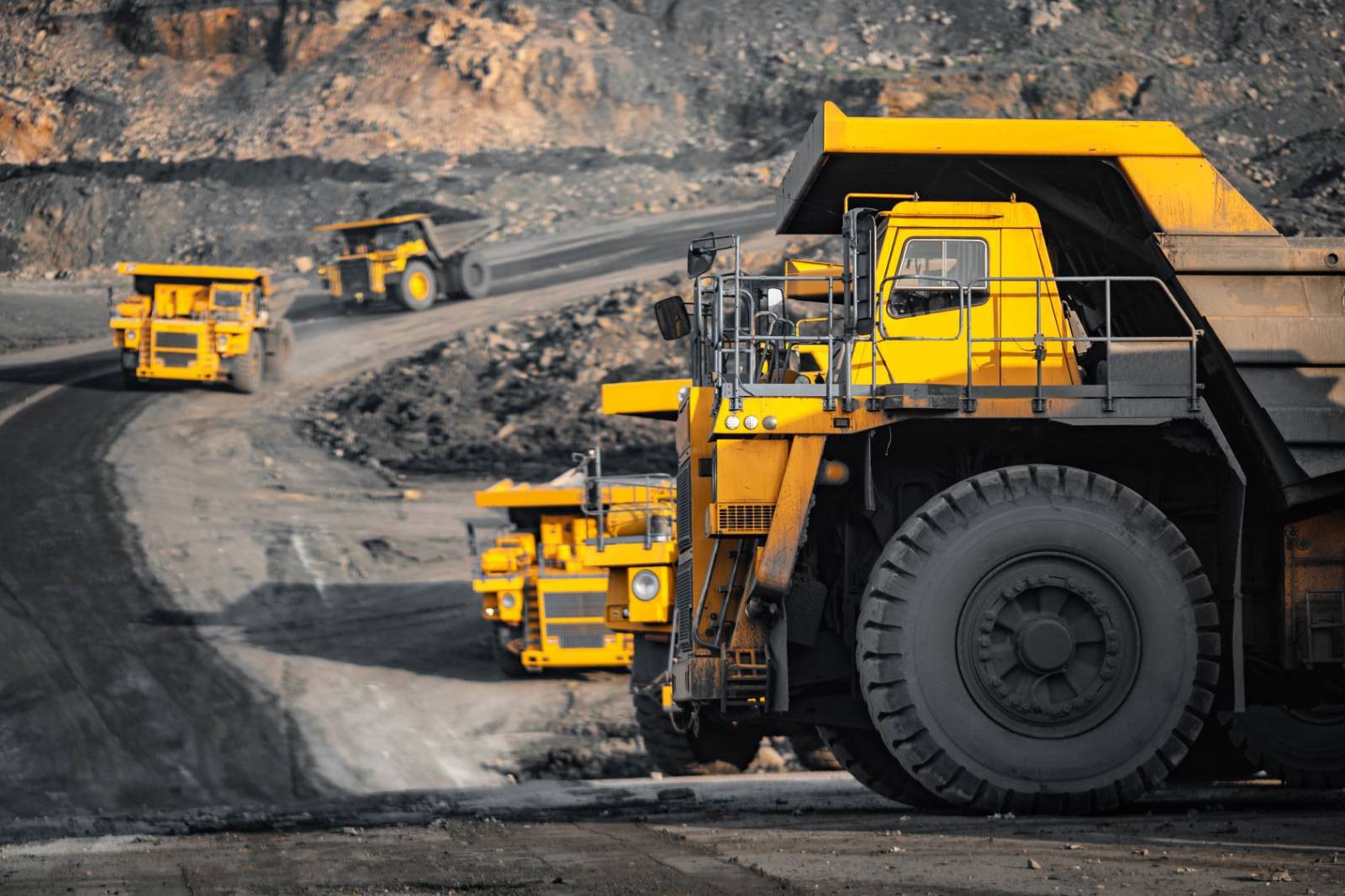Standard 11 Mining Courses
