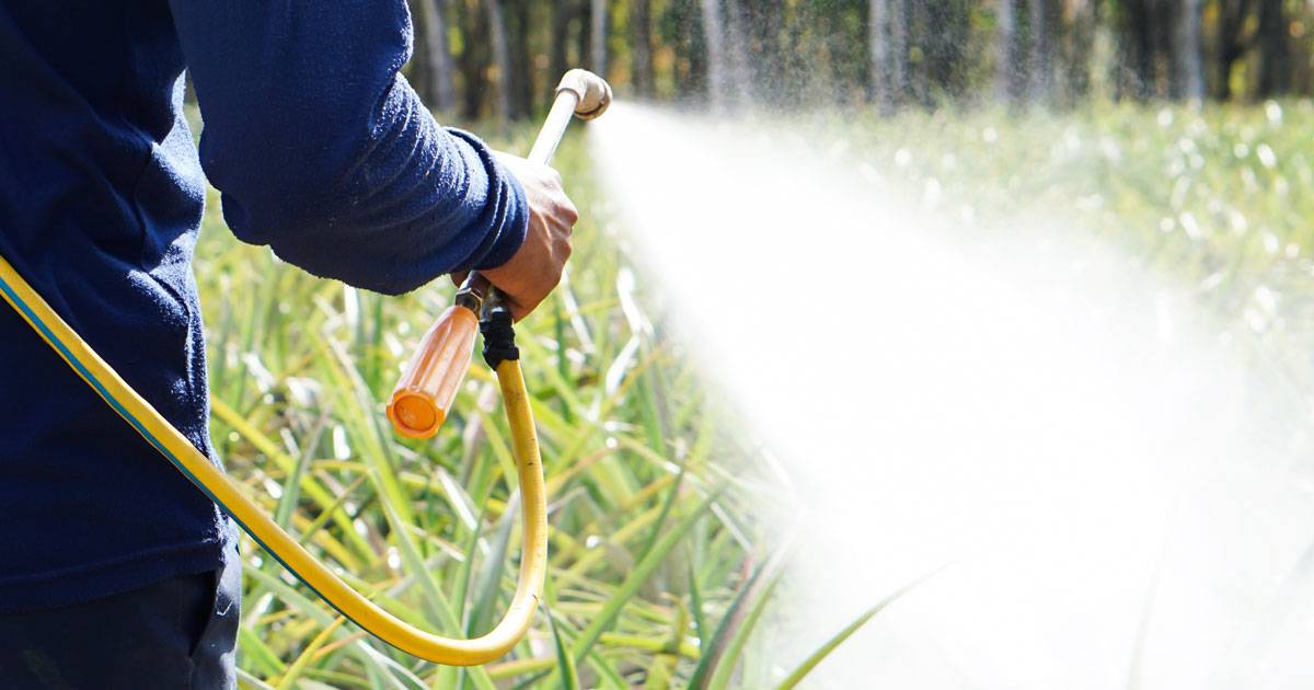 ACDC Licence - Chemicals Distribution Control Certification