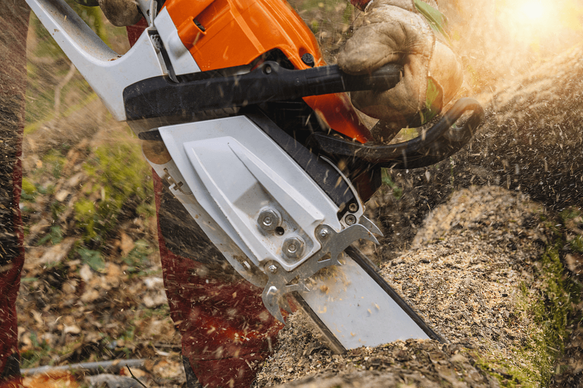 Chainsaw cutting tree - Maintain Chainsaws, Trim and Cut Felled Trees & Fell Trees Manually