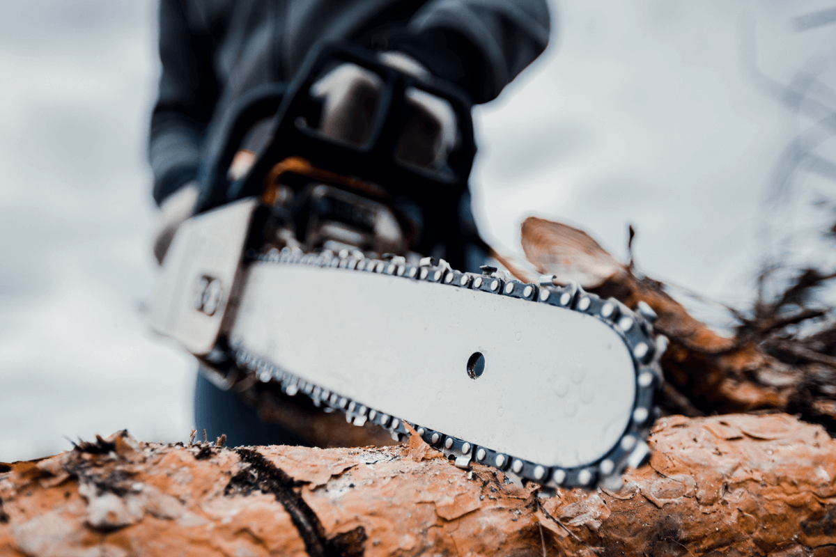 Fell Trees Manually - Chainsaw