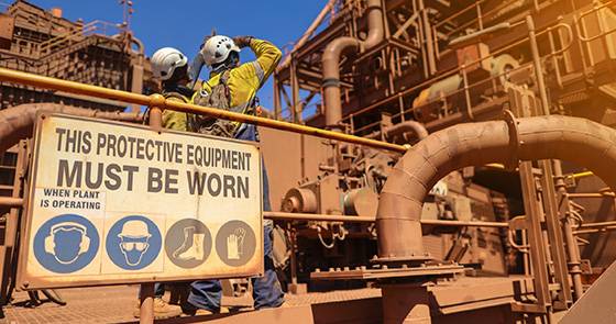 Establish and Maintain WHS Management Systems